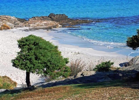 House | View from property