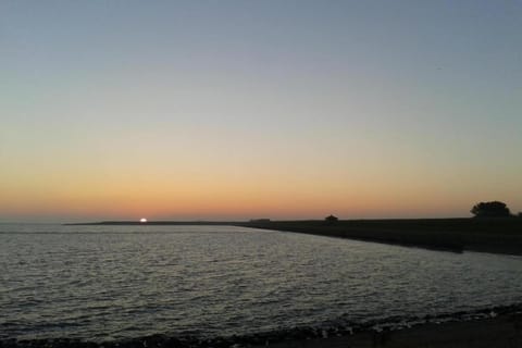 Region [summer] (&gt;5 km)