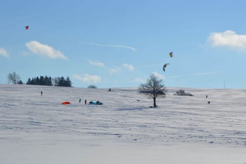 Snow and ski sports