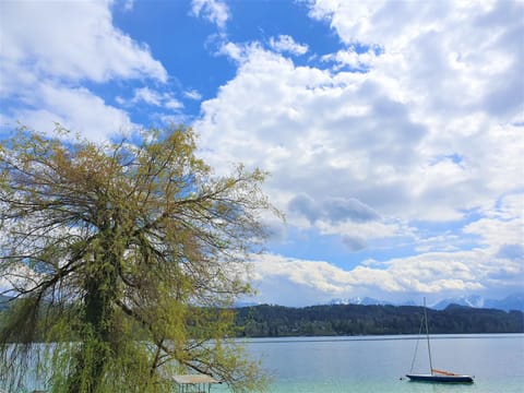 Apartment | View from property