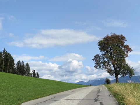 Apartment | View from property