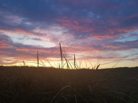 House | Miscellaneous