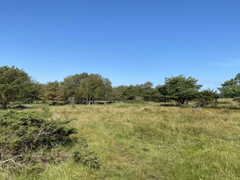 House | Miscellaneous