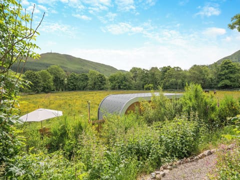 View | Bluebell - Freedom Fields, Straiton, near Maybole