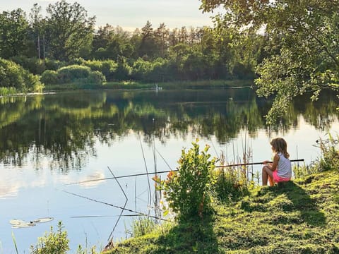 House | Miscellaneous