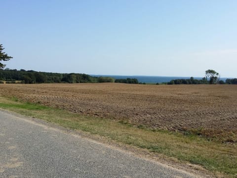 House | Miscellaneous