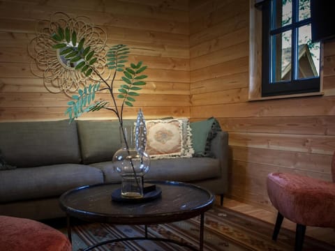 House | Living area