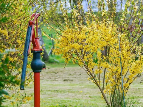 House | Miscellaneous