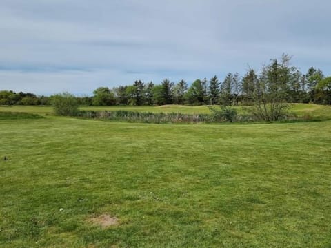 House | Miscellaneous