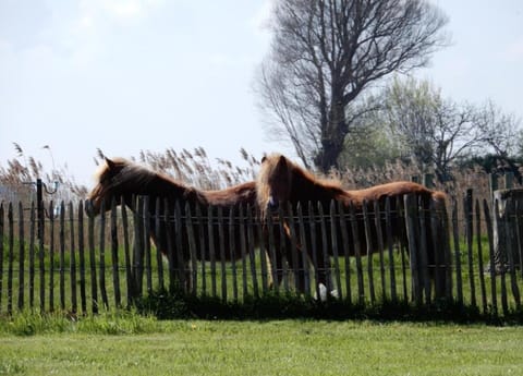 Apartment | View from property