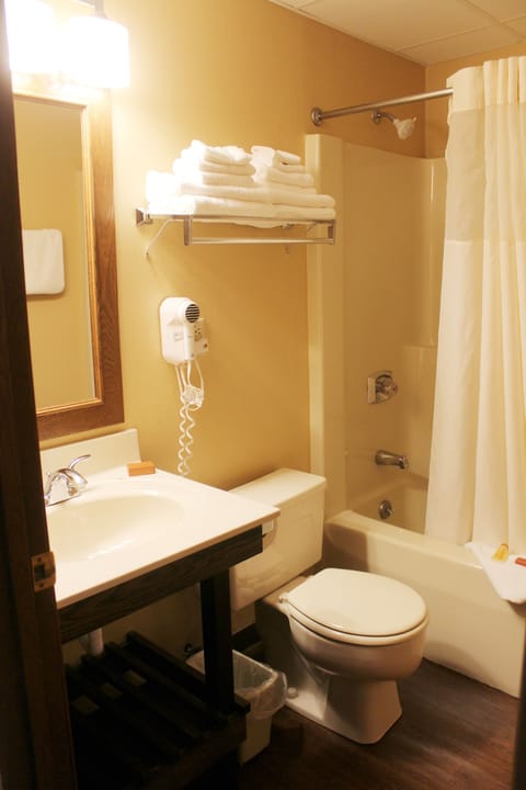 Combined shower/tub, free toiletries, hair dryer, towels