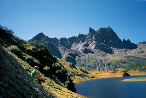 Apartment | Miscellaneous