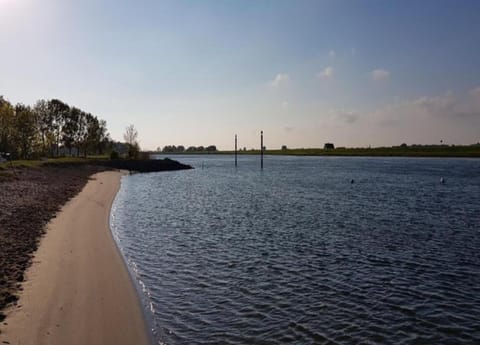 House | View from property