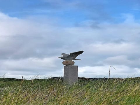 House | Miscellaneous