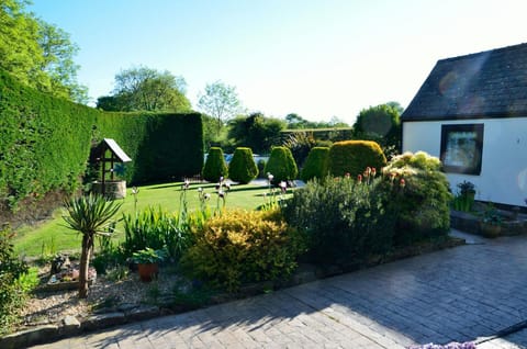Garden with lawn, hedge and shrubs at Carni Lodge