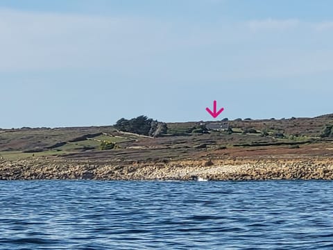Alone overlooking Audierne Bay