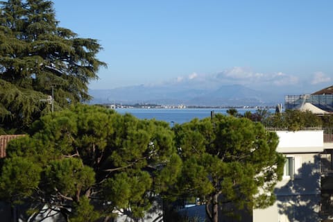 Autumn, Scenic View, Spring, Summer