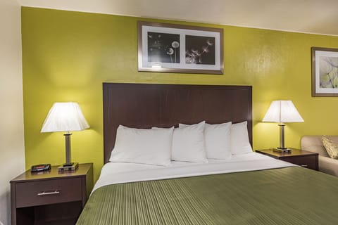 Room, 1 King Bed | Premium bedding, down comforters, Tempur-Pedic beds, desk