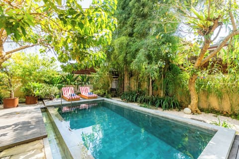 Outdoor pool, sun loungers