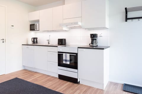 Standard Apartment | Private kitchen | Fridge, microwave, oven, stovetop