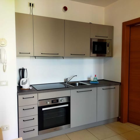 Basic Apartment | Private kitchen | Full-size fridge, microwave, oven, stovetop