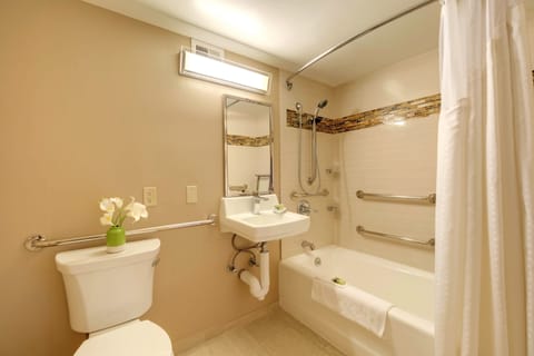 Combined shower/tub, free toiletries, hair dryer, towels