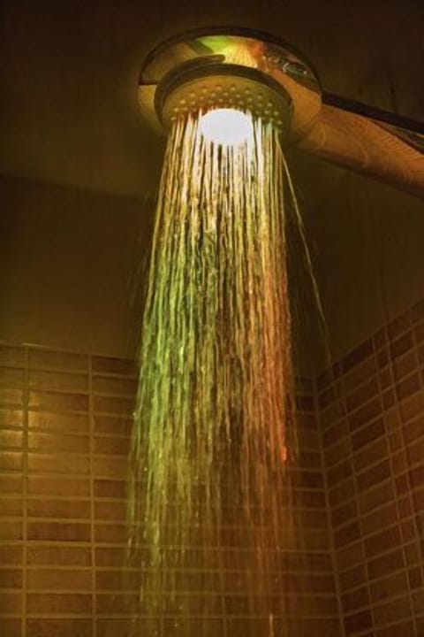 Single Room | Bathroom shower