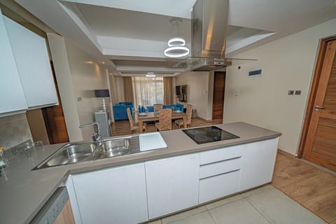 Deluxe Apartment, City View | Private kitchen | Fridge, microwave, cookware/dishes/utensils