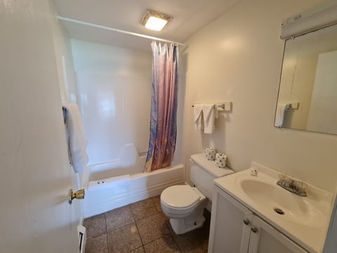 Standard Room, 1 King Bed, Kitchenette | Bathroom | Combined shower/tub, towels