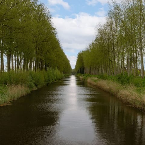 House | 3 bedrooms, Internet