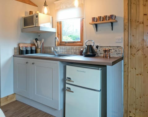 Kitchen area with fridge, sink, microwave, kettle