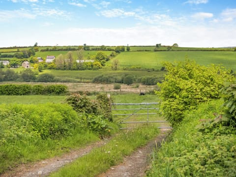 Outdoor area | Maesybryn, Pentregat