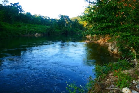 Macal river