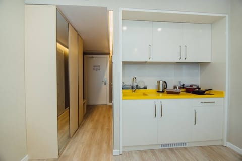 Luxury Studio Suite | Private kitchen | Mini-fridge, microwave, oven, stovetop