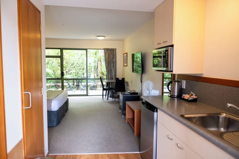 Studio, 1 Queen Bed | Private kitchenette | Mini-fridge, microwave, stovetop, electric kettle