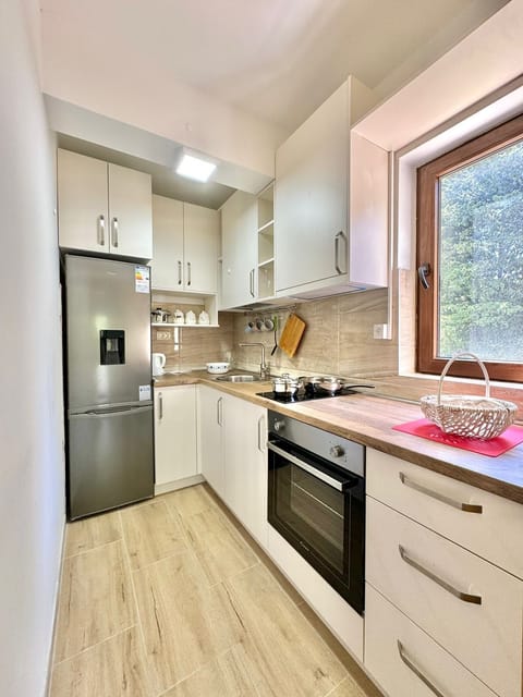 Standard Apartment, Balcony, City View | Private kitchen | Fridge, oven, stovetop, cookware/dishes/utensils