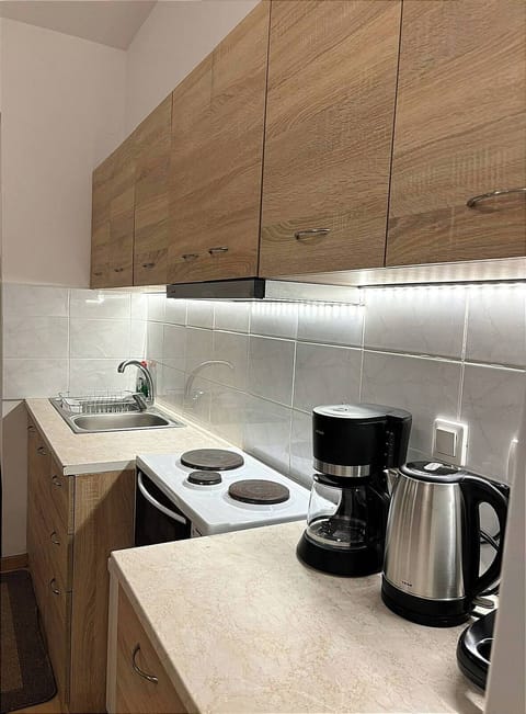 Apartment | Private kitchen | Full-size fridge, oven, toaster, cookware/dishes/utensils