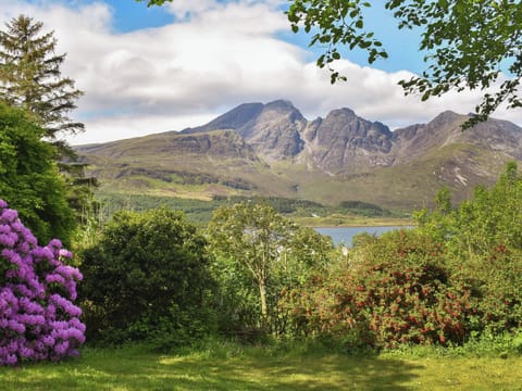 View | Half Of 2, Torrin