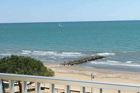 Region [summer] (&gt;5 km)