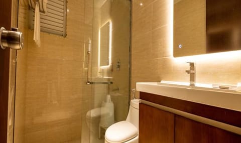 Deluxe Room | Bathroom | Shower, rainfall showerhead, free toiletries, towels