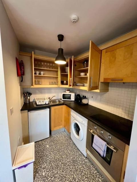 Family Apartment | Private kitchen | Full-size fridge, microwave, oven, stovetop