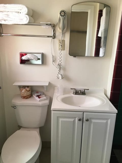 Combined shower/tub, free toiletries, hair dryer, towels