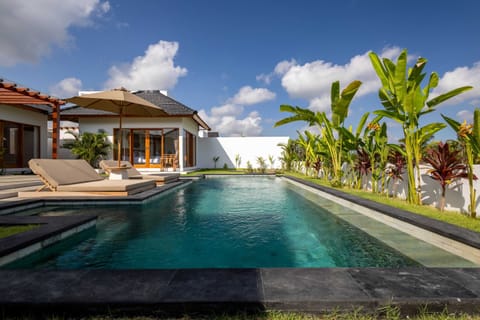 Basic Villa | Pool | Outdoor pool