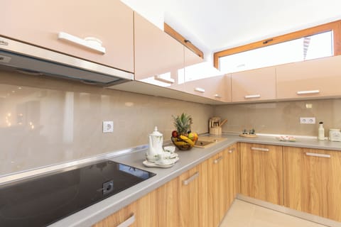 Standard Villa | Private kitchen | Fridge, oven, stovetop, dishwasher