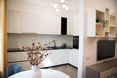 Premium Apartment | Private kitchen | Full-size fridge, oven, stovetop, dishwasher