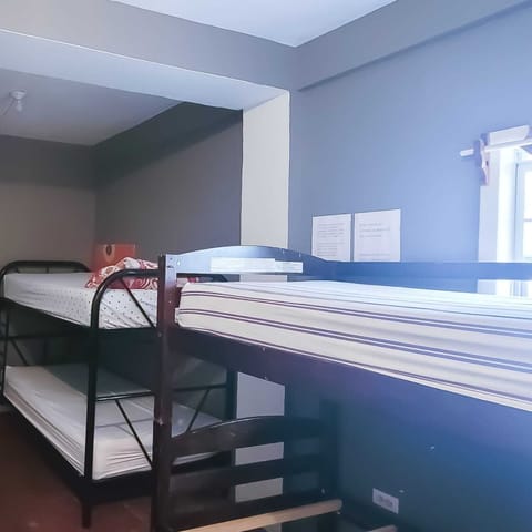 Comfort Shared Dormitory | Iron/ironing board, free WiFi