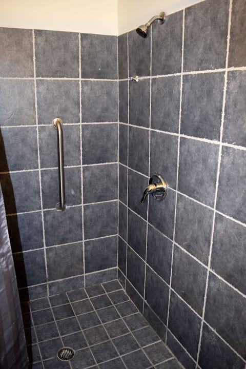 Classic Studio | Bathroom shower