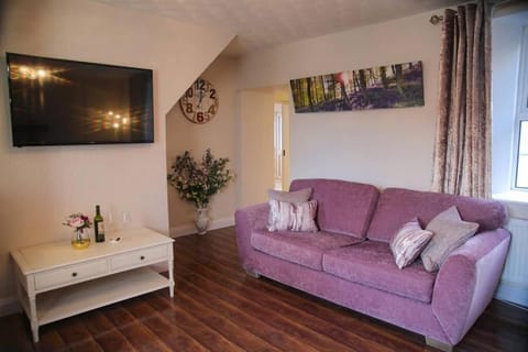 50 inch TV with Netflix