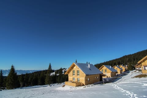 Holiday Home Exterior [winter]