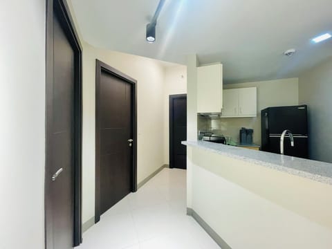 Elite Apartment | Private kitchenette | Fridge, microwave, stovetop, electric kettle